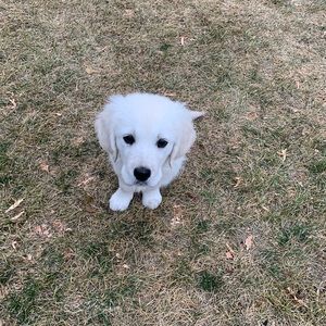 Meet your Posher, Ethan